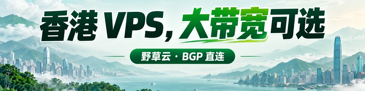 香港 VPS，大带宽可选｜野草云 · BGP 直连