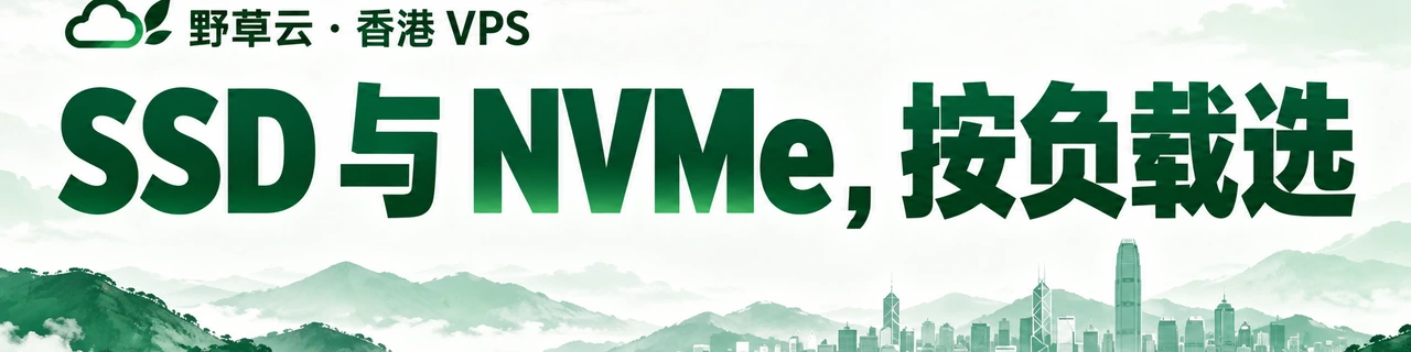 SSD 与 NVMe，按负载选｜野草云 · 香港 VPS